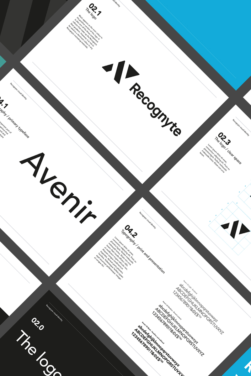 Recognyte Brand Guidelines